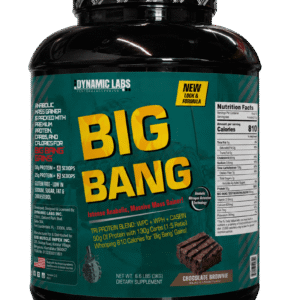 Dynamic Labs Big Bang Mass Gainer